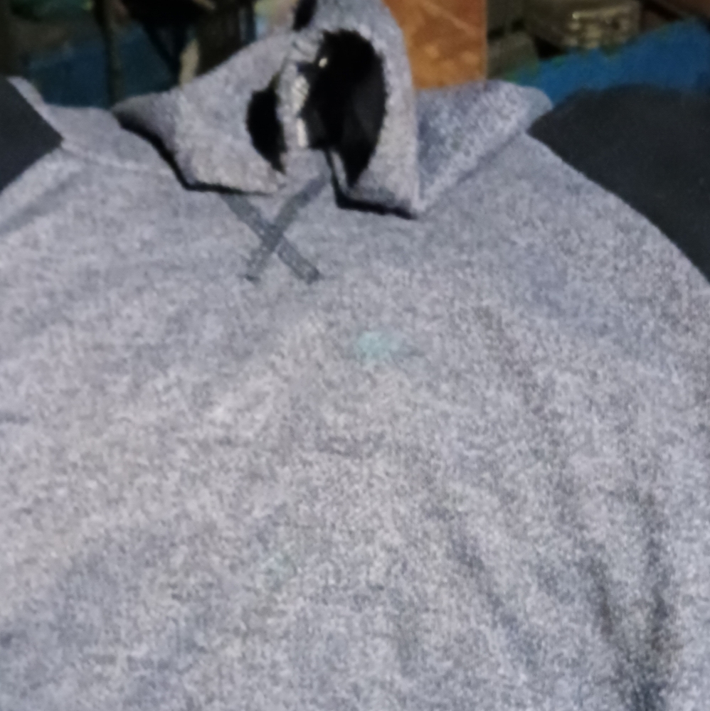 Red Fox Woman's Hoodie